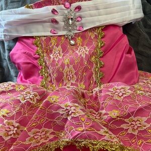 Pink and Gold Princess Costume